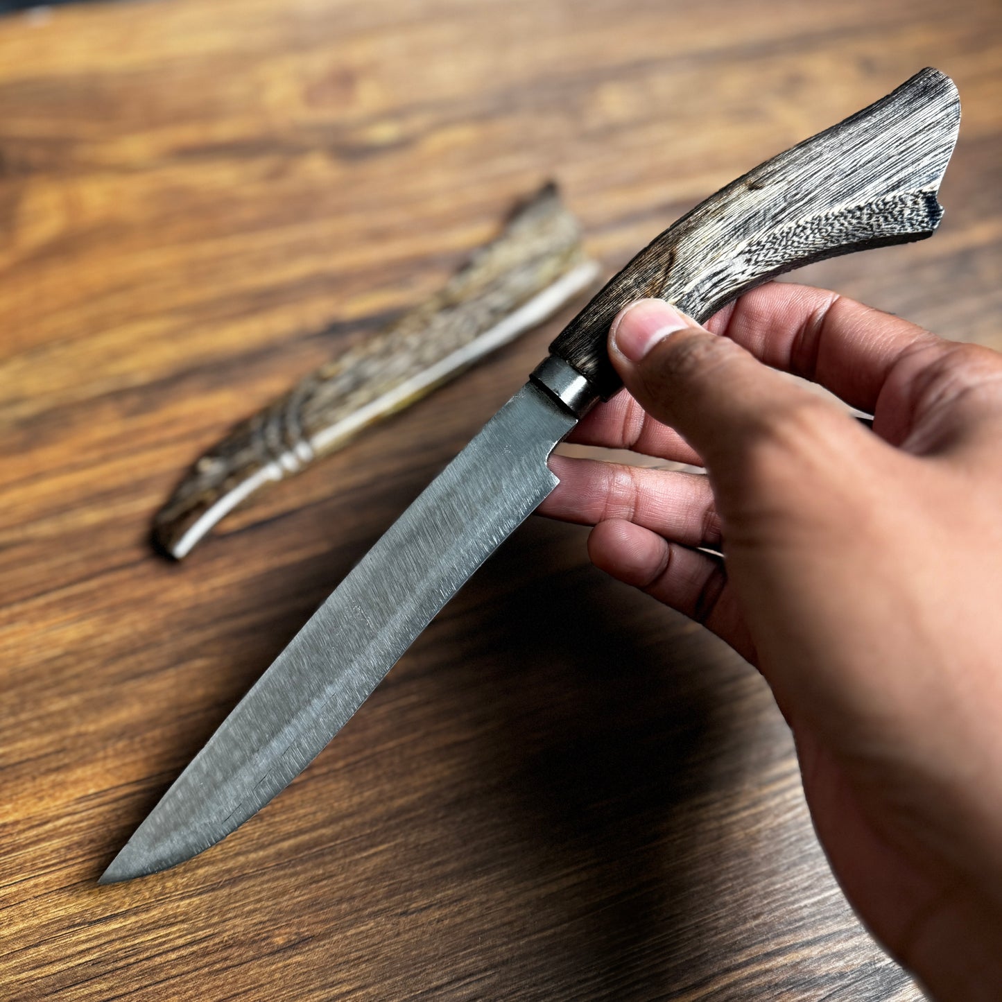 bushcraft knife spring steel blade side profile close up