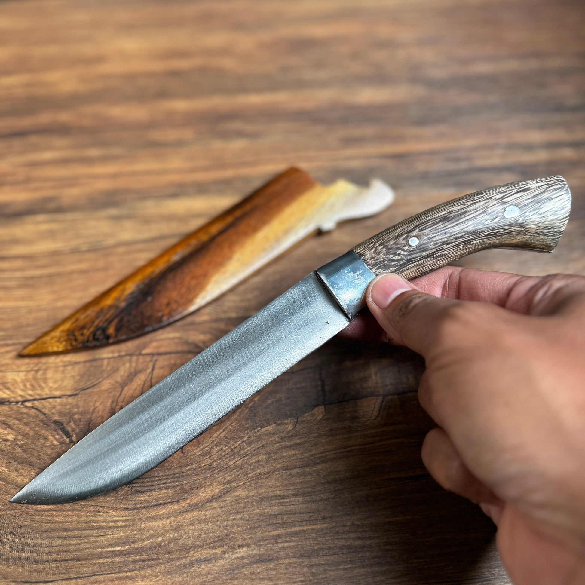 bushcraft knife spring steel blade side profile close up